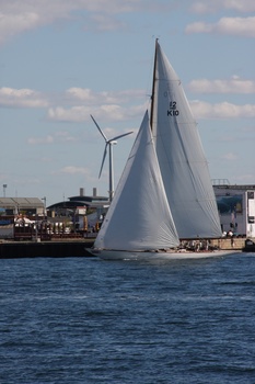 ./20100905-120229.jpg