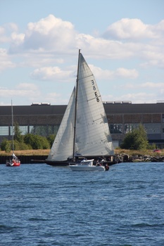 ./20100905-120257.jpg