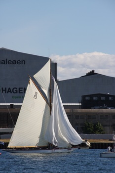./20100905-125209.jpg