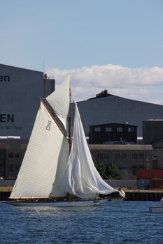 ./20100905-125212.jpg