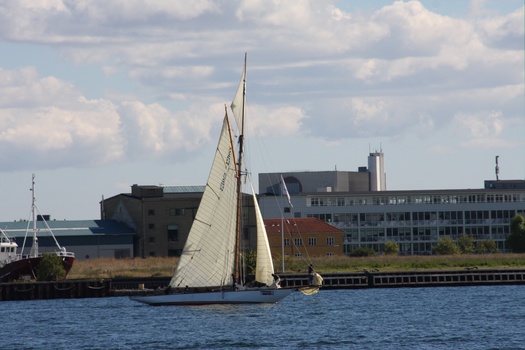 ./20100905-125351.jpg