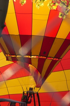./20110424-174449.jpg