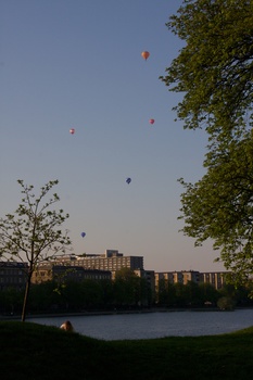 ./20110424-181039.jpg