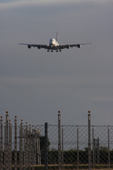 ./20100915-072237.jpg