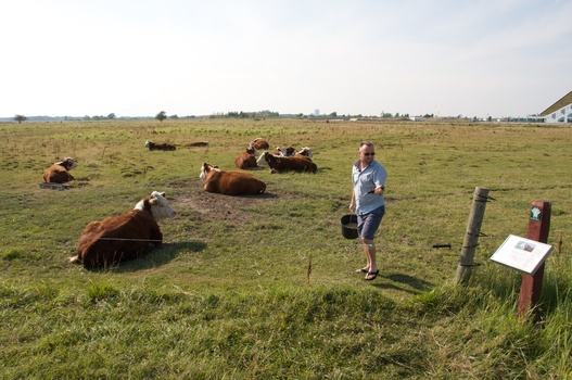 ./20100805-160338.jpg
