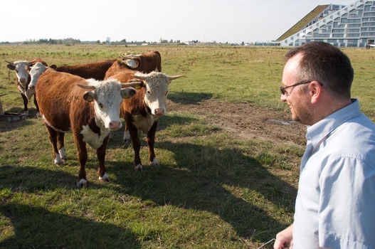 ./20100805-160704.jpg