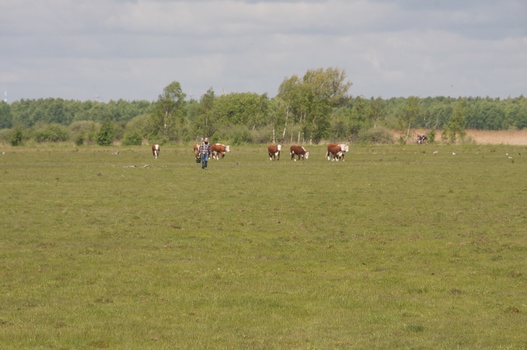 ./20100529-101950.jpg