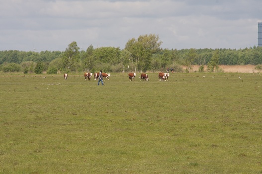 ./20100529-101951.jpg