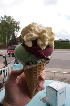 ./20100529-110713.jpg