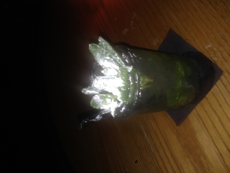 ./20140324-001550.jpg