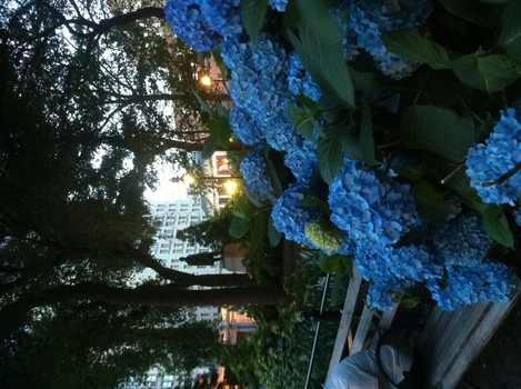 ./20120616-203704.jpg