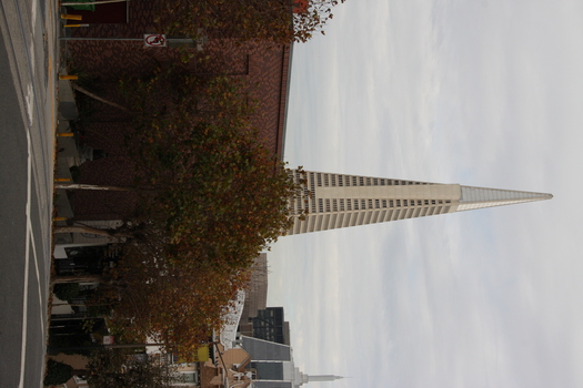 ./20131112-222256.jpg