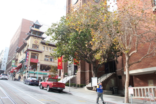 ./20131112-232915.jpg