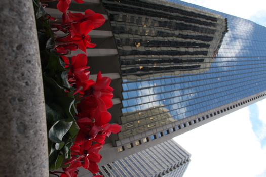 ./20131112-233501.jpg
