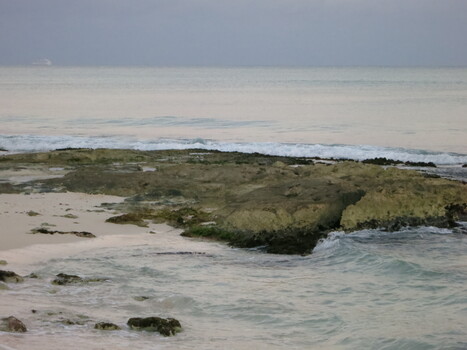 ./20111129-171126.jpg