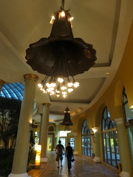 ./20111129-172636_edited.jpg