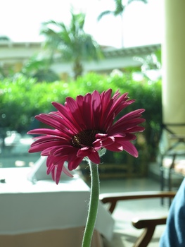 ./20111130-084054_edited.jpg