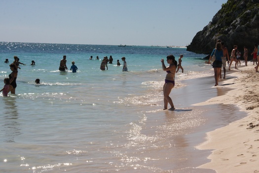 ./20111201-111015.jpg
