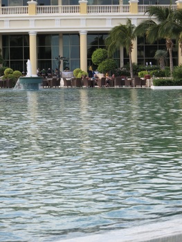 ./20111201-145634_edited.jpg