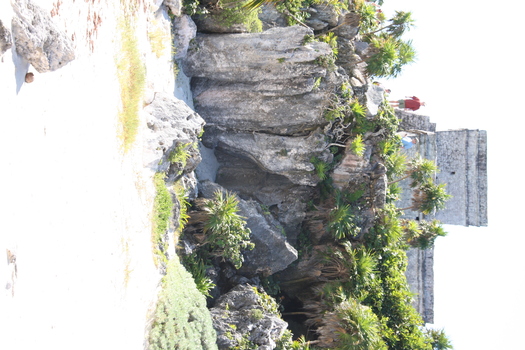 ./20111201-173047.jpg