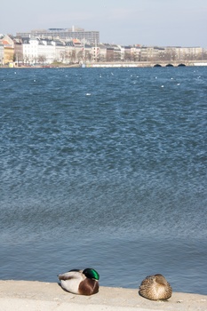 ./20100402-130202.jpg