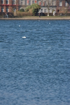 ./20100402-130236.jpg
