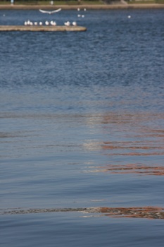 ./20100402-130316.jpg