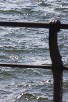 ./20100402-131250.jpg