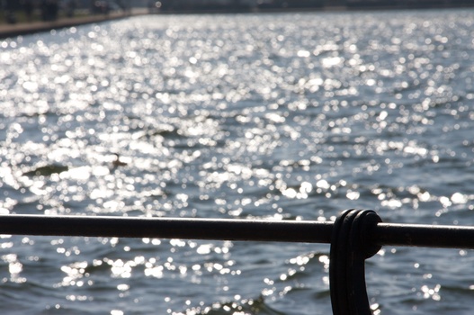 ./20100402-131330.jpg