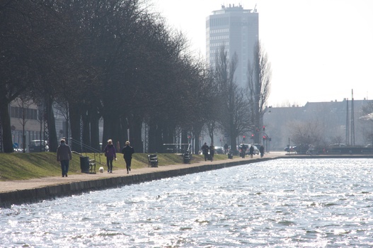 ./20100402-131541.jpg