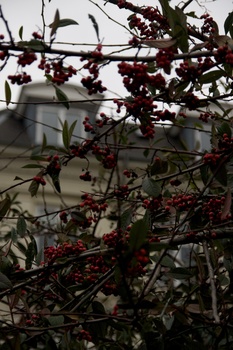 ./20080301-135457.jpg