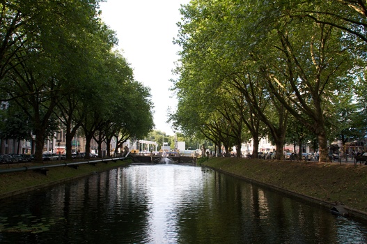 ./20090722-174135.jpg