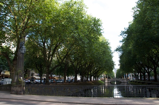 ./20090722-174107.jpg