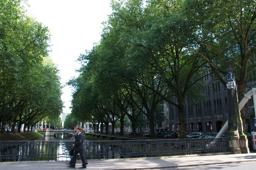 ./20090722-174118.jpg