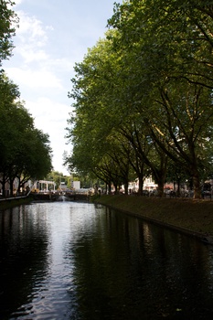 ./20090722-174148.jpg