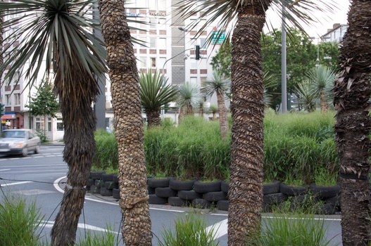 ./20090722-195321.jpg