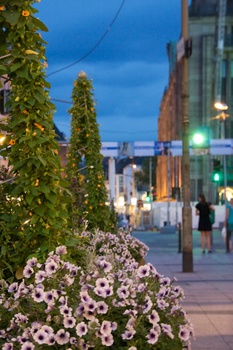 ./20090722-205242.jpg