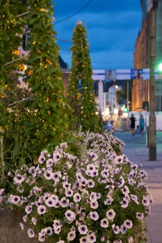 ./20090722-205300.jpg