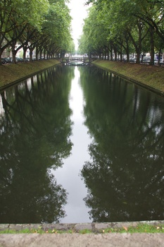 ./20090723-095037.jpg
