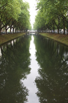 ./20090723-095052.jpg