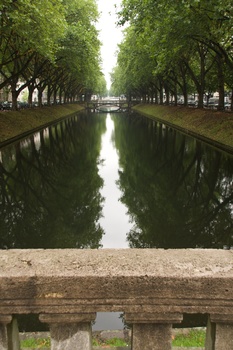 ./20090723-095136.jpg