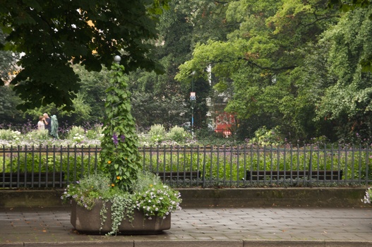 ./20090723-095209.jpg