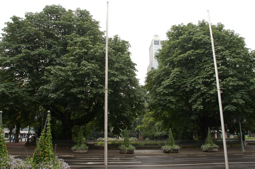 ./20090723-095215.jpg
