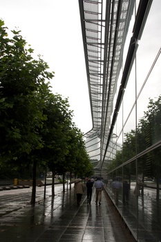 ./20090723-111658.jpg