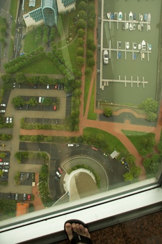 ./20090723-120230.jpg
