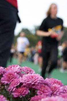 ./20080905-174852.jpg