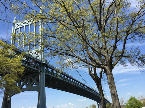 ./20150503-161035.jpg