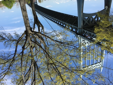 ./20150503-121035.jpg