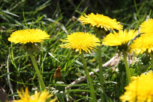 ./20080504-123749.jpg