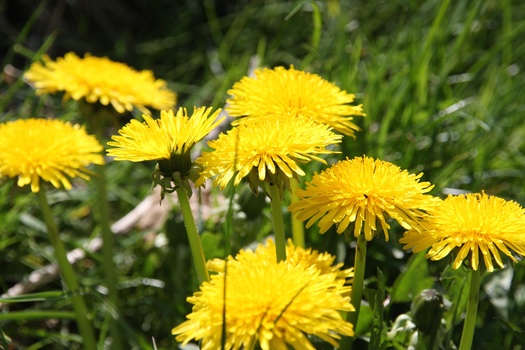 ./20080504-123806.jpg